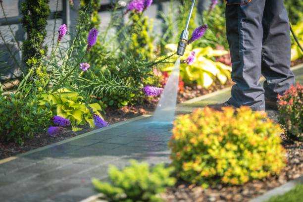 Trusted Apple Creek, OH Pressure Washing Services Experts