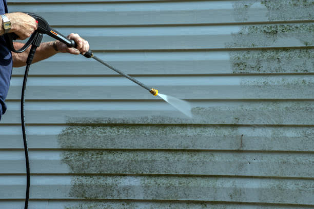 Best Pool Deck Cleaning  in Apple Creek, OH